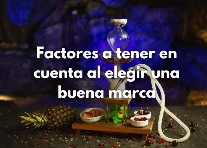 Factores a tener en cuenta al elegir una buena marca